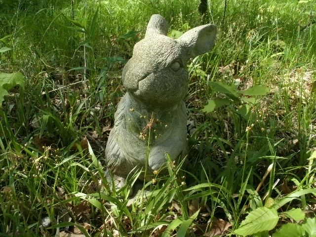 cement rabbit statues