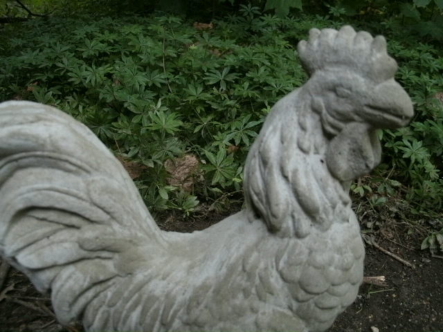 cement rooster statue