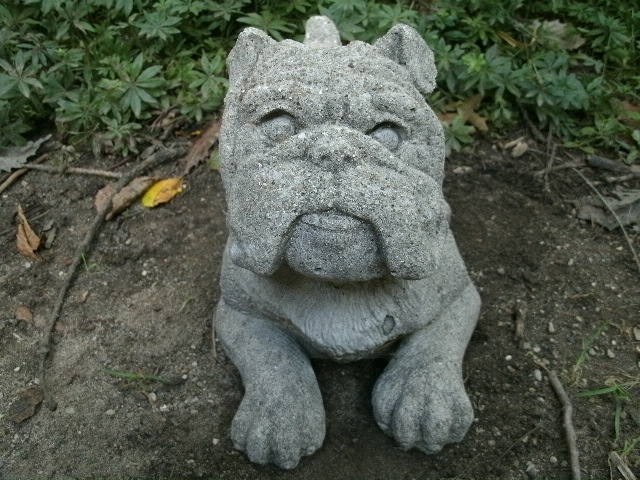 cement bulldog statue