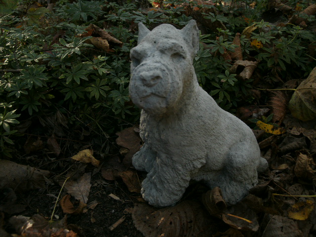 miniature schnauzer concrete statue