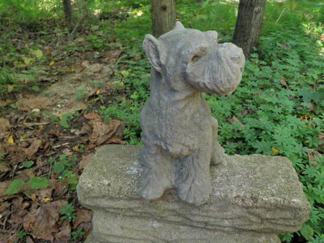 miniature schnauzer concrete statue