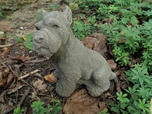 miniature schnauzer concrete statue