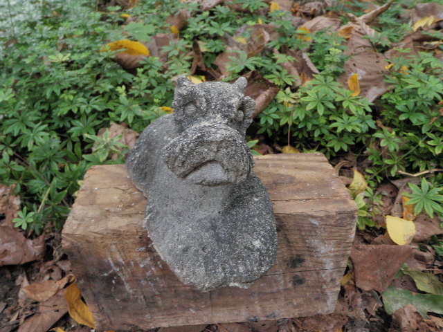 miniature schnauzer concrete statue