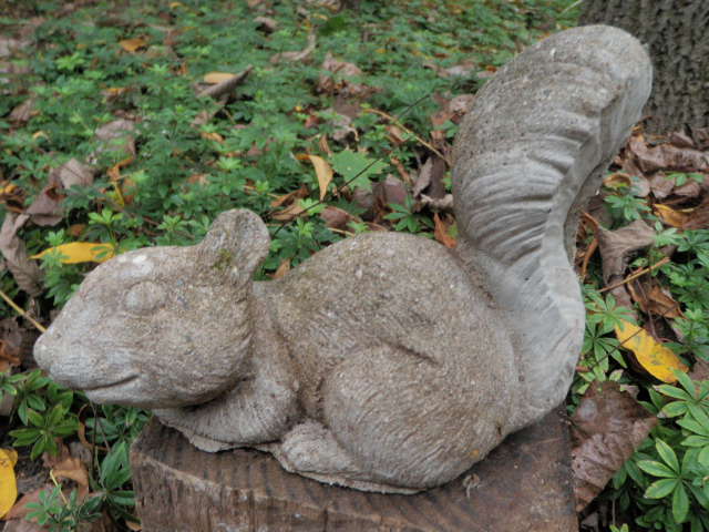 cement squirrel statue