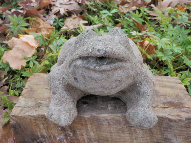 cement frog statue